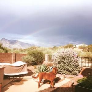 Meet your Posher, Mary